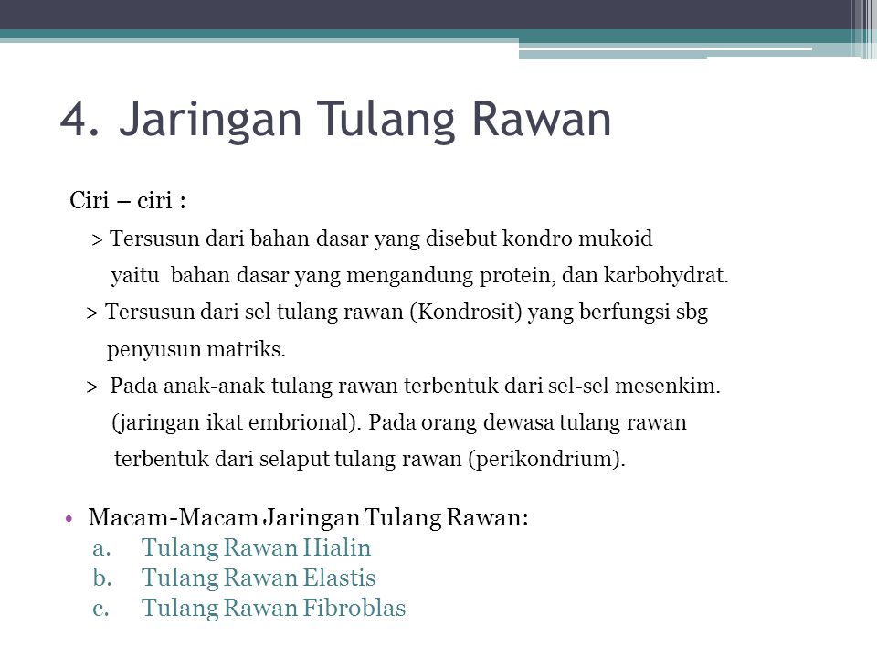 Ciri Ciri Tulang Rawan Fibrosa Materisekolah Github Io